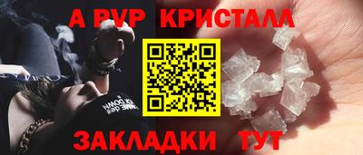 амф Кингисепп