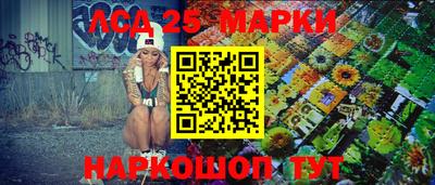 амф Кингисепп