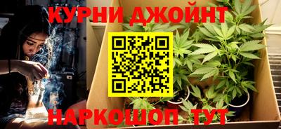 амф Кингисепп