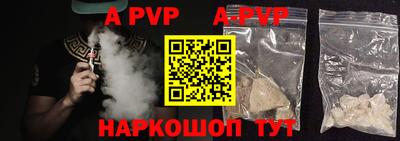 амф Кингисепп